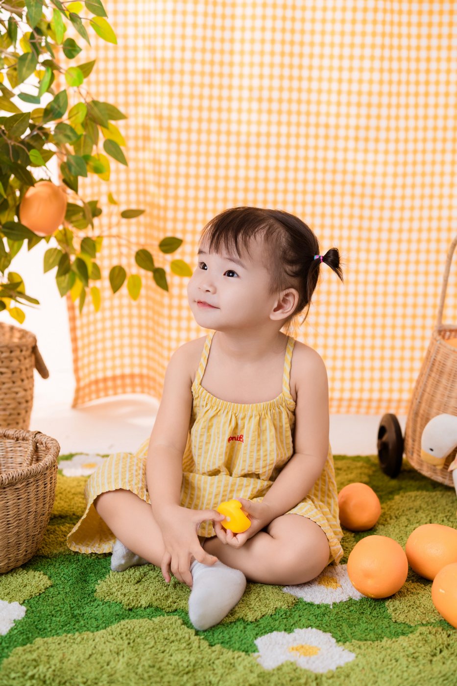 Ủa, xoài đâu rồi?